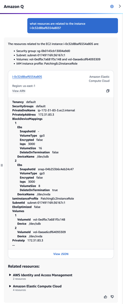 Amazon Q Developer chat showing the results of the question: “What resources are related to the instance i-0c32d8baf6554a805?”